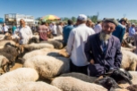 Kashgar animal market, Xinjiang Province, China